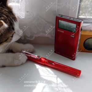 Tecsun PL-100