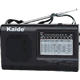 凯迪/Kaide